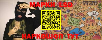 молекула духа Новозыбков