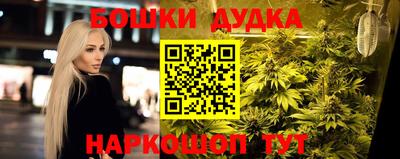 молекула духа Новозыбков